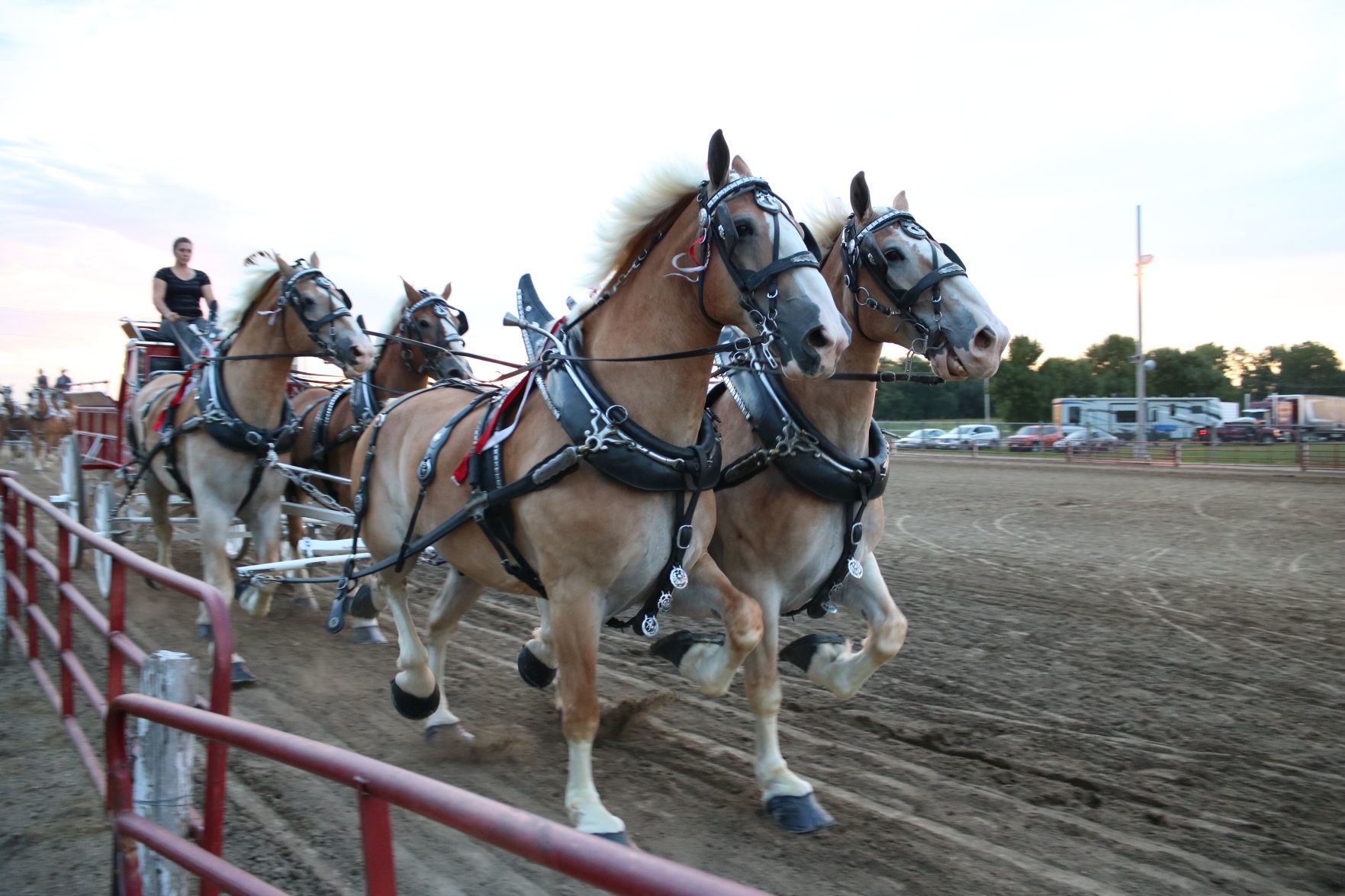 4-Horse Hitch 4